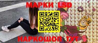 гидра Славгород