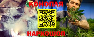 гидра Славгород