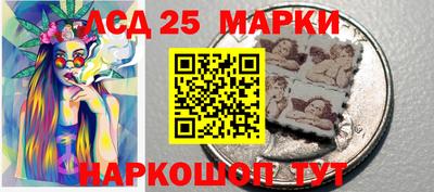 гидра Славгород