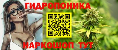 гидра Славгород