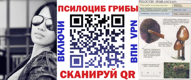 Псилоцибиновые грибы ЛСД  Азов 